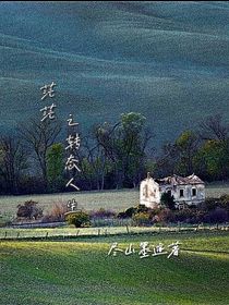 茫茫之转态人生