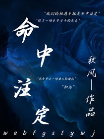 念念不忘：命中注定……