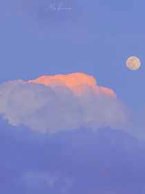 TF家族——第五代