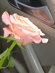 夏踏春來