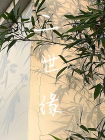 二世缘之再续前缘