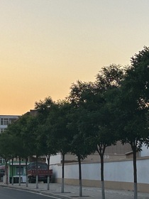 将……夜——岑景未迟