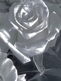穿越到朋友的世界觀