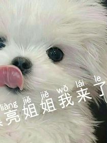 snh48之海王之路