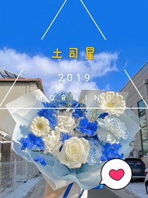 土司星