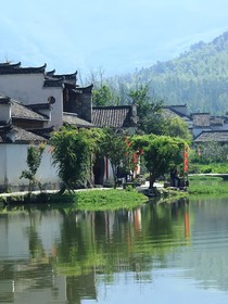 枯藤荆记