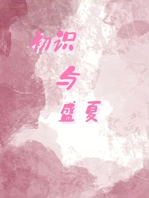 初识与盛夏