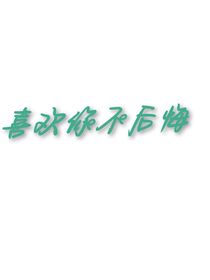 喜欢你不会后悔