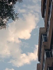 原因你