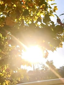 由夏到盛