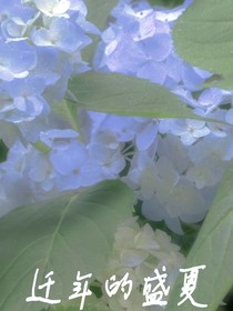 遷年的盛夏