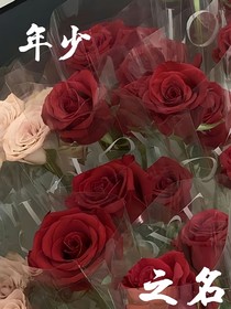 年少之名……