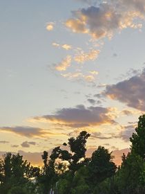 与王老师的初识