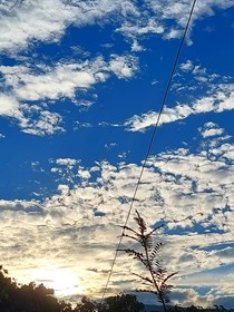 太阳也是光