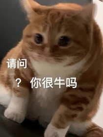 亂七八糟一大堆到底怎么樣名字才能不重復(fù)