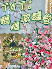 TNT：偶遇玫瑰巷
