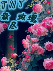 TNT：散盡玫瑰