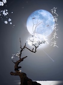 夜雨花未涼