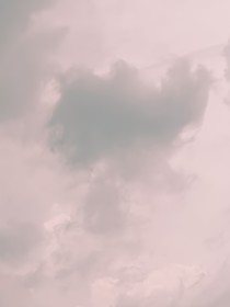 母系