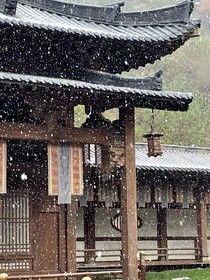 新凰