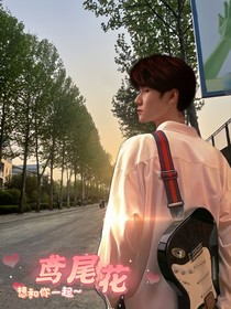 张真源：海边的鸢尾花