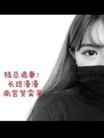 陸總追妻：長路漫漫