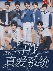 TNT：寻找真爱系统