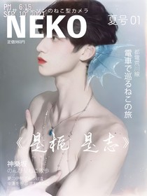 是梔是志