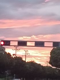 景禾