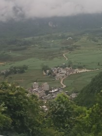 聪天悲高-d517