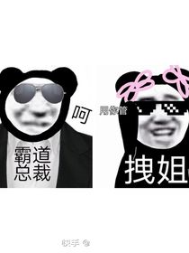 总裁与拽姐