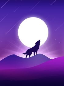 名柯：夜色融化