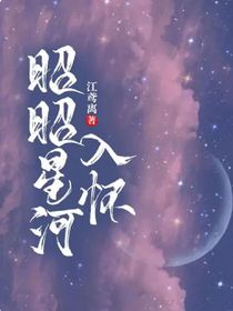 昭昭星河入怀