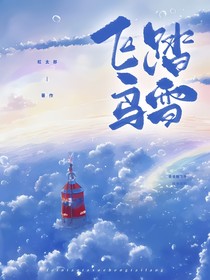 飞鸟踏雪