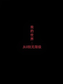 我的世界：從0到10000000級