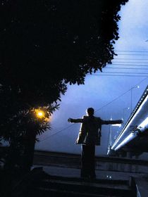 霜刺芭蕉