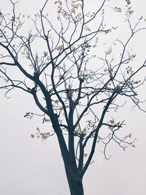 年代之旅