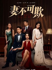妻不可欺第二季