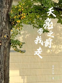 天亮之前，带我走