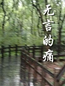 无言的痛