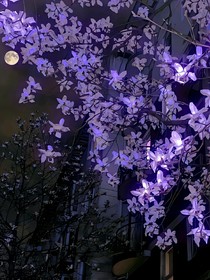 唐曉翼：宇宙回響