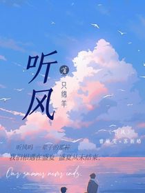 听风……一只绵羊