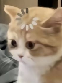 穿书成了千金