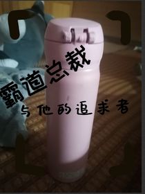 霸道总裁与他的追求者？