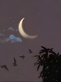 长风芜茗