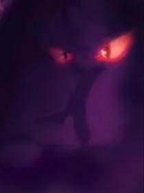 京剧猫之迷踪幻影