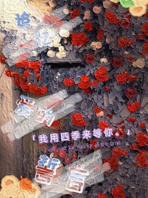追忆……爱的誓言