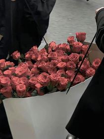 堕落蝴蝶