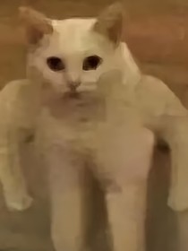 星星之火前傳