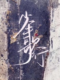 河崇：為愛重域